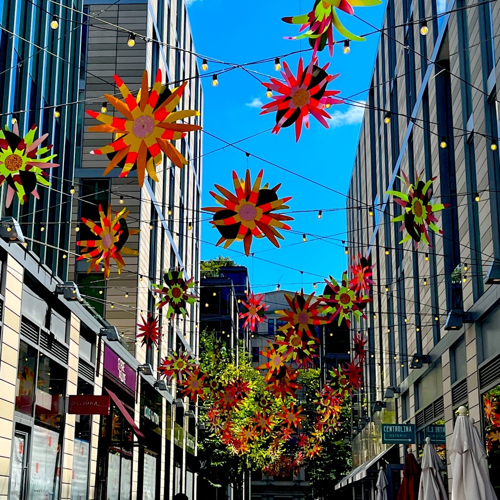 Meet your Posher, LB